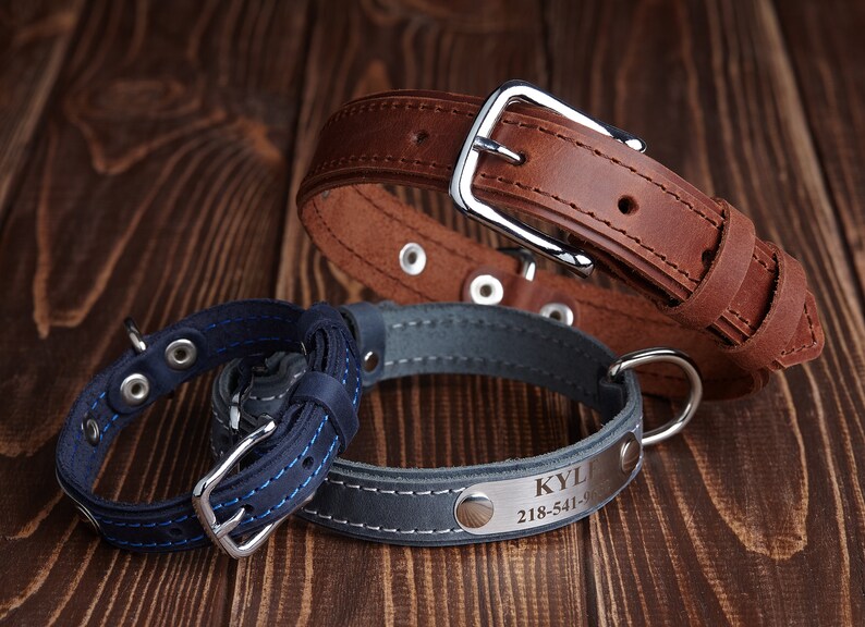 Engraved Leather Dog Collar, Personalized Dog Collar, Custom Dog Collar, Leather Dog Collar with Name, Dog Collar Green Blue Brown