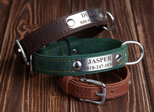 Engraved leather dog collar, Leather Dog Collar, Custom Dog Collar with Name Plate, Cat Collar, Leather Cat Collar, Personalized Collar