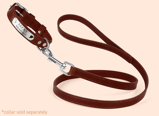 Leather Dog Leash, Dog Leash, Leather Dog Leash, Leather Dog Accessories, Dog Lead