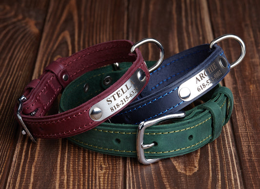 Engraved Leather Dog Collar, Personalized Dog Collar, Custom Dog Collar, Leather Dog Collar with Name, Dog Collar Green Blue Brown