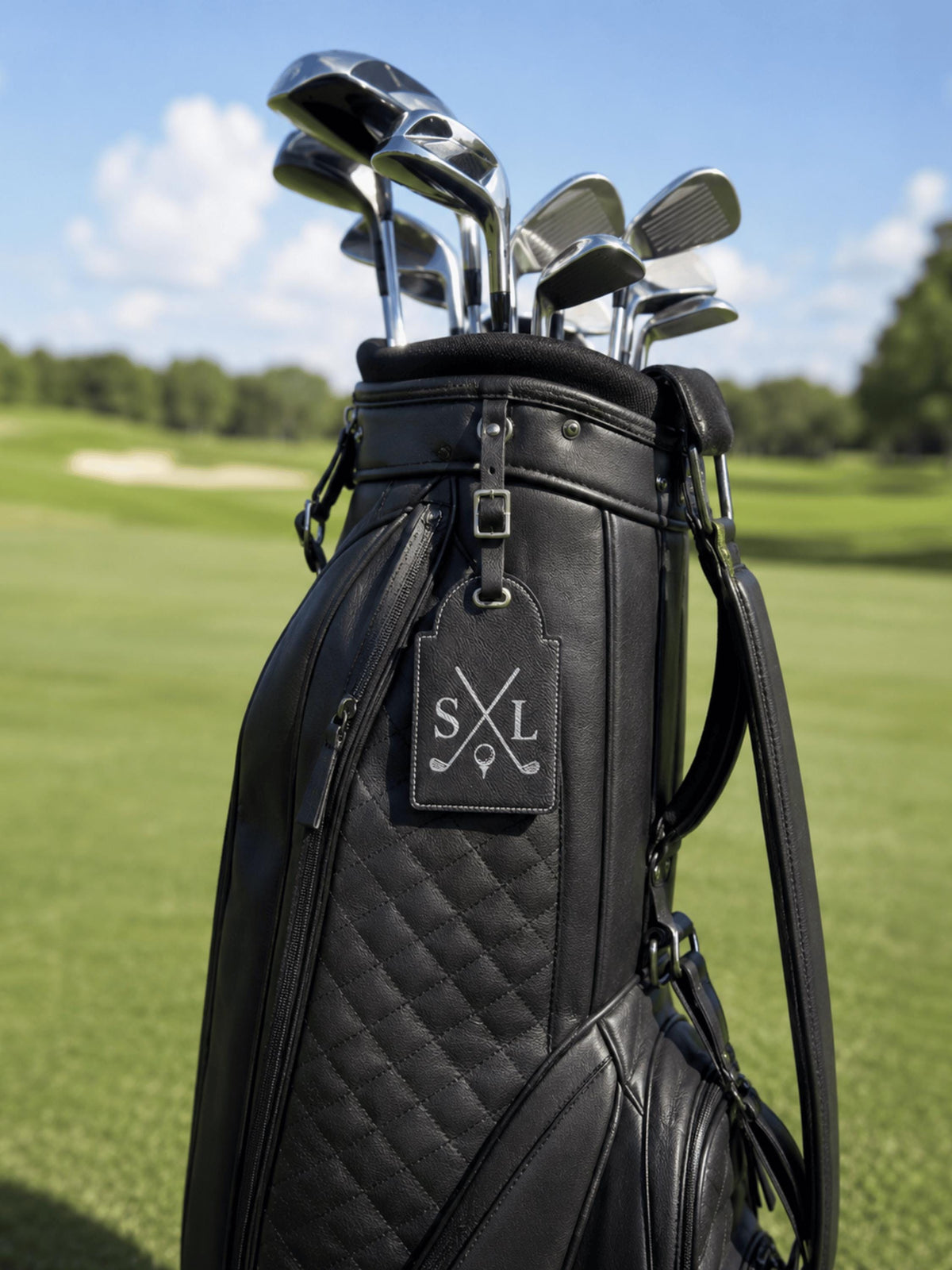 Personalized Golf Bag Tag with Tees – image 9
